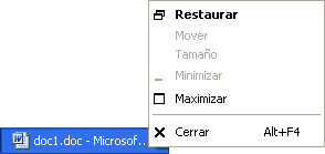Submenú del document