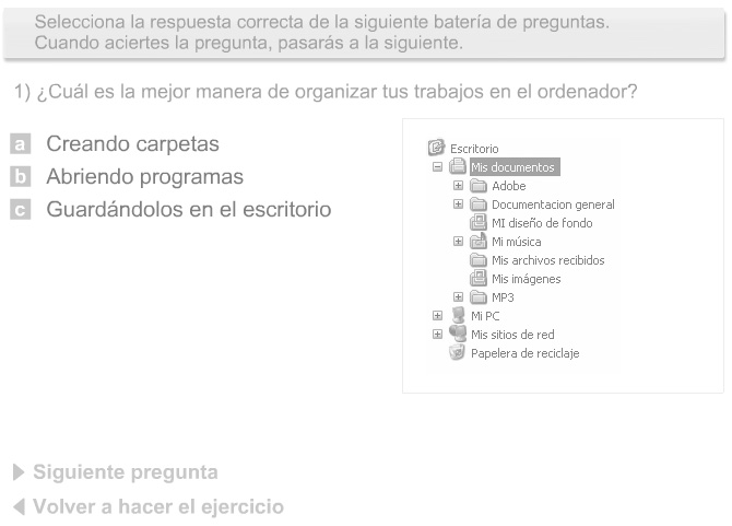 Captura del interactivo Organizar la información